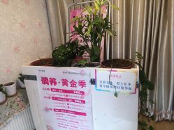 -华脉瘦身