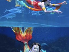 -华夏文旅海洋公园