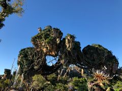 -奥兰多迪士尼动物王国乐园