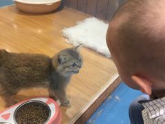 -龟与熊猫宠物公园(南坪店)