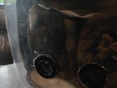 -宠颐生斯嘉宠物医院·急重症·心内科(谷阳北路分院)