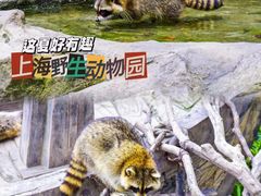 -上海野生动物园