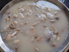 -邹羊肉火锅