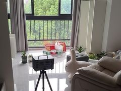 -绿色亿家除甲醛机构