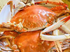 -天天赶海日日新鲜蒸汽海鲜家常菜(南戴河仙螺岛店)