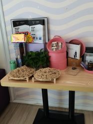 -SILKTONE诗丽堂美容