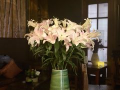 -心足私家足疗SPA(海岸城店)