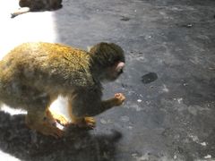 -西安秦岭野生动物园