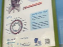 -半岛宠物医院24小时(白果林店)