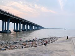 -宝安西湾红树林湿地公园