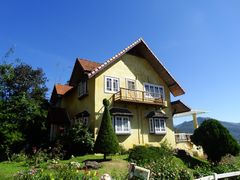 -黄色小屋