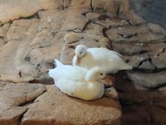 -昆明大悦城未来动物城(螺蛳湾中心店)