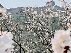 -居庸关长城