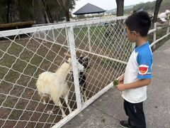 -大连铭湖国际观光牧场