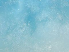 -双合园·海鲜水饺青岛菜(九水东路店)