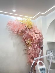 -苗方清颜痘肌研究所