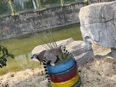 -常州淹城野生动物世界
