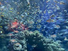 -成都浩海立方海洋公园