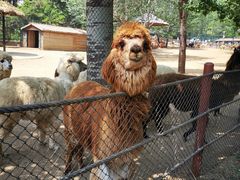 -大连森林动物园