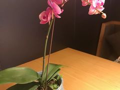 -粤秀餐厅(国货店)