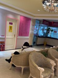 -北京俪婴妇产医院(朝阳大悦城店)