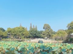-无锡蠡湖国家湿地公园-蠡园