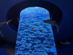 -香港海洋公园