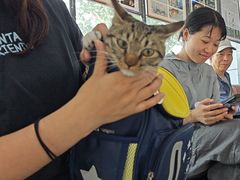 -pd派德宠物中心医院24H急重症·眼科中心·血液透析中心(嵩山北路店)