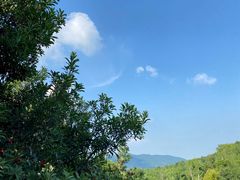 -雅达·阳羡溪山小镇中心