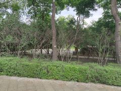 -群力丁香公园