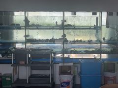 -海月湾海景餐厅( 嵊泗本地老字号店)
