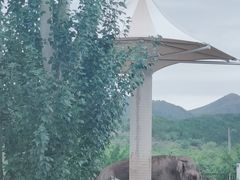 -大青山野生动物园