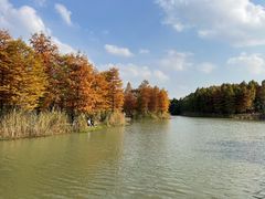 -梁鸿国家湿地公园