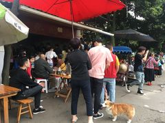 -张醪糟