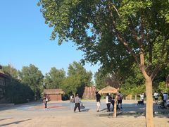 -南宫五洲植物乐园