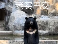 -清迈夜间动物园