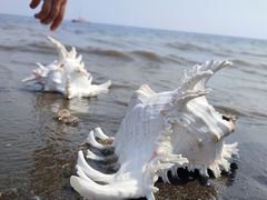 -天津东疆湾沙滩景区
