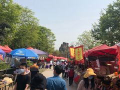 -秀丽东方