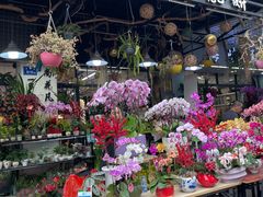 -溪岸路花鸟市场