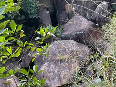 -广州白江湖森林公园