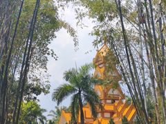 -云南勐巴娜西珍奇园