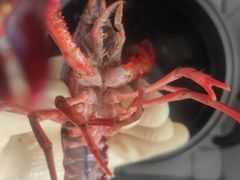 -蚝家伙深夜食堂·海鲜烧烤(上庄店)