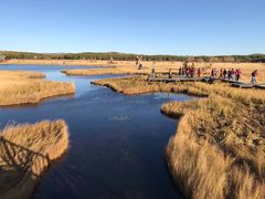 -塞罕坝国家级自然保护区