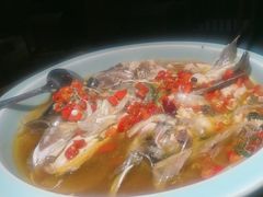 剁椒蒸鲜活鱼头-北方家宴(番禺永旺店)