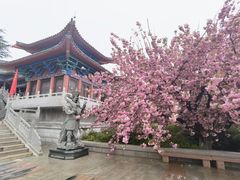 -石岛赤山风景区