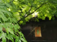 -法云安缦酒店