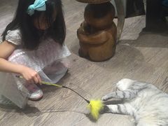 -小时光咖啡馆(开森度假森林店)