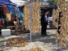 -中环花鸟鱼虫市场