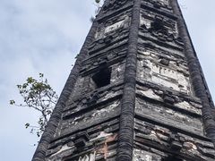 -上海佘山国家森林公园天马山园