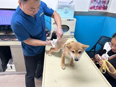 -康爱犬猫诊所·牙专科·骨外科·影像内科(丰宁店)